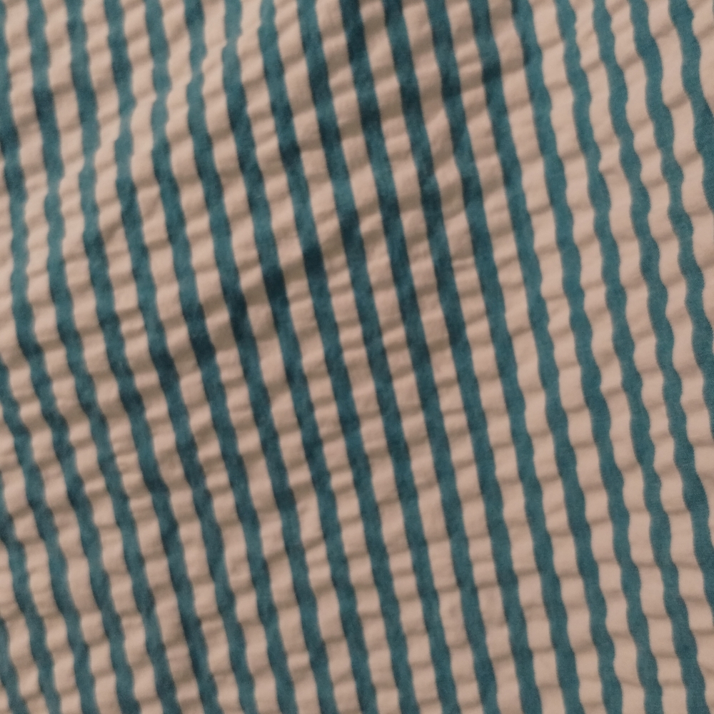Lands' End Shorts - Picture 10 of 11